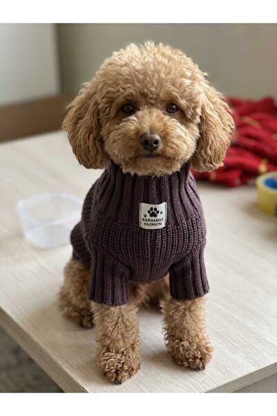 faramiss fashion SELANİK ÖRGÜ MÜRDÜM RENK DÜZ KÖPEK KIYAFETİ KÖPEK KAZAĞI KED...