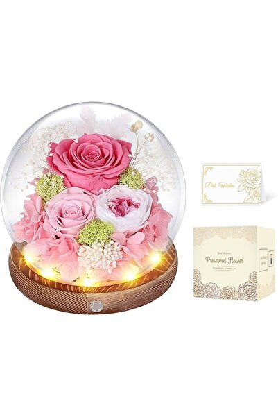 GENERAL Preserved Roses in Glass Dome, Pink Forever Rose Flower, Gifts for Women