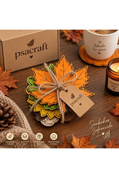PSAcraft Coasters Set of 6 with Latest Spring Theme