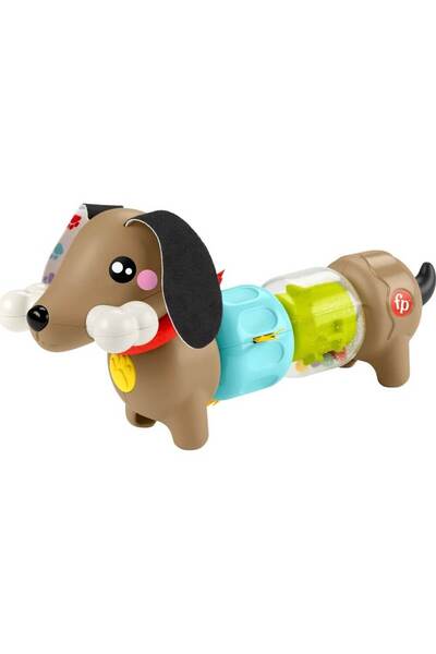 mattel Fisher-Price FP Pets Παιχνίδι Δραστηριοτήτων για Κουτάβια  "Κλικ & Σπι...