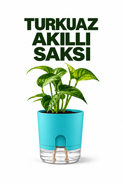 ByKurt Akıllı Saksı Kendi Kendini Sulayan Fitilli Modern Dekoratif Turkuaz Saksı 2 Litre