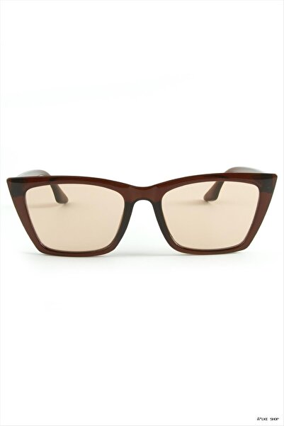 ZERO LAND Ilkestor Square Frame Sunglasses (10219) Brown