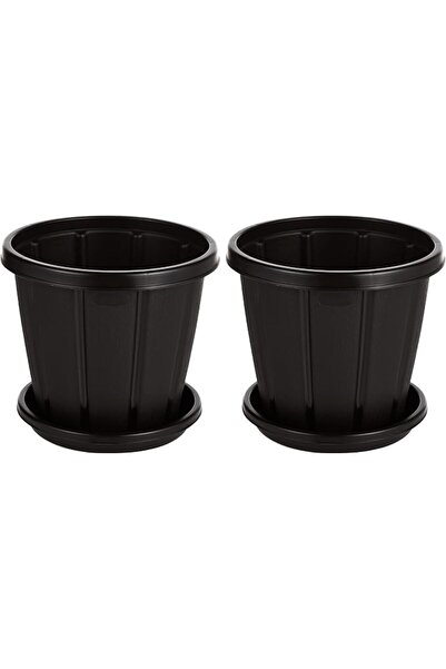 Cosmoplast طقم أصيص زهور سيدارجرين 10 بوصة مع صينية (قطعتان)