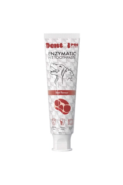 DENTAL CARE PRO BİFTEK AROMALI DİŞ MACUNU 100GR