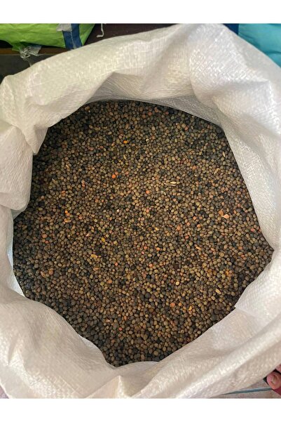 VENUSTAR 25 kg macar fiğ tohumu