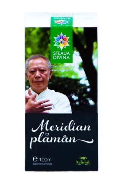 STEAUA DIVINA Meridian plaman 100ml