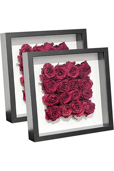 GENERAL 2pcs Shadow Box Frame Display Case, 10x10'' Shadow Box Picture Frame,...