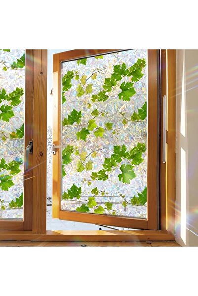 NALACAL Rainbow Window Privacy Film, Decorative Grape Vine Window Clings, Gre...