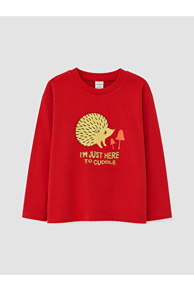 LC Waikiki Printed Boys' T-Shirt