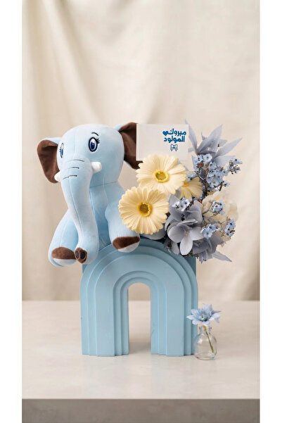 Generic Brand Stylish Baby Gift 💙