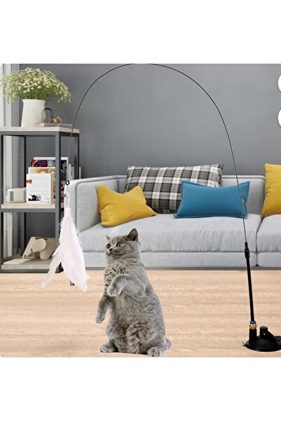Dalian Home Ultra Esnek Yaylı Kedi Oltası Güçlü Vantuzlu Çelik Telli Dayanıkl...