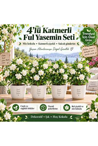 Fuul yasemin set