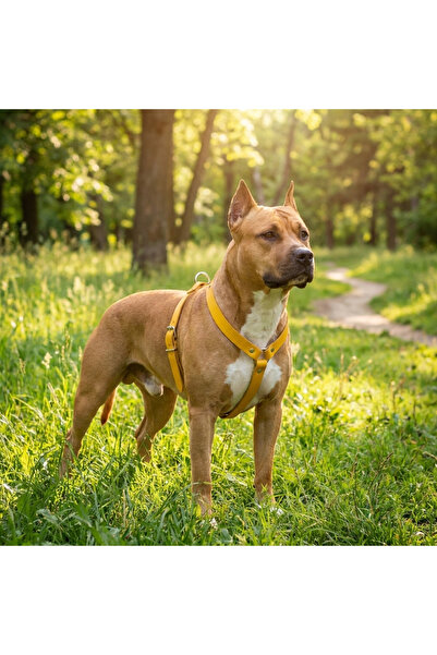 EL YAPIMI Genuine Leather Mustard Yellow Dog Collar and Leash Set - Luxury Pe...