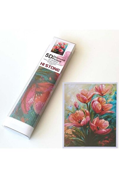 NT Boncuklu Taşlı Pano Çocuklar İçin Mozaik Elmas Goblen Diamond Tablo 30 X 4...