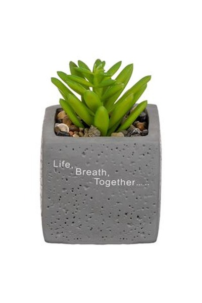 CBD CORAL BEST DEALS Ghiveci Decorativ din Ciment cu Planta Artificiala & Pie...