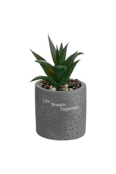 CBD CORAL BEST DEALS Ghiveci Decorativ din Ciment cu Planta Artificiala & Pie...
