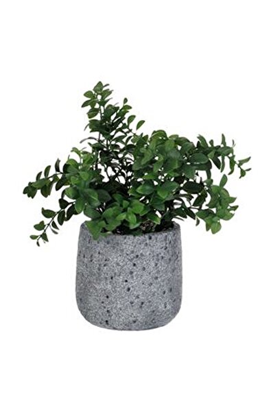CBD CORAL BEST DEALS Ghiveci Decorativ din Ciment Gri cu Planta Artificiala V...