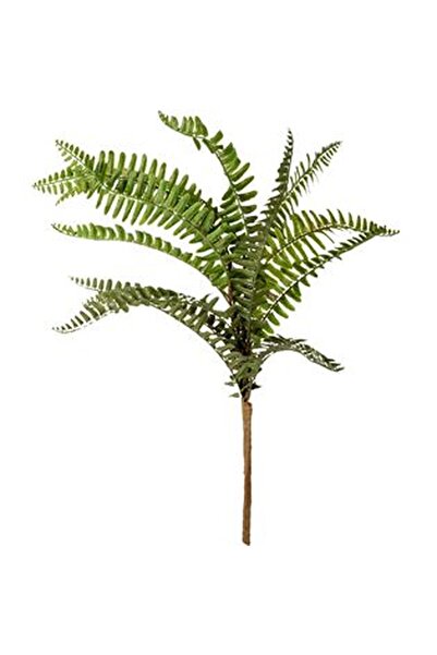 CBD CORAL BEST DEALS Buchet Decorativ cu Feriga Artificiala Verde 44cm, Plastic