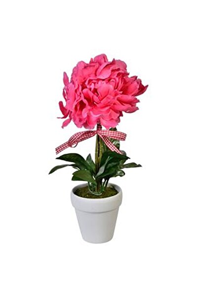 CBD CORAL BEST DEALS Ghiveci Decorativ Ceramic cu Planta Artificiala Ø30cm, 1...