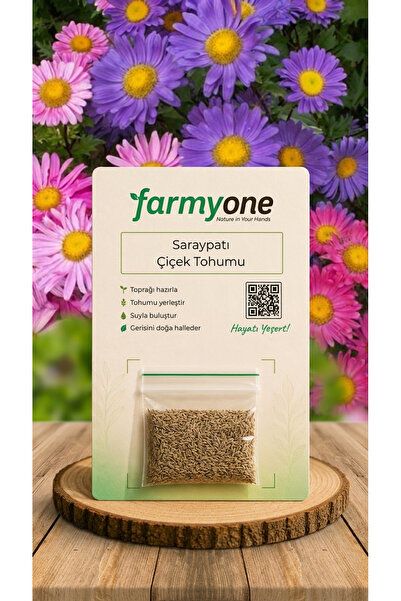 Saraypatı Çiçek Tohumu – 40 Adet