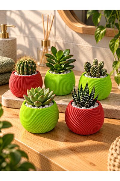 triora Liora Mini Kaktüs & Sukulent Saksısı 5 li– Modern Dokulu Dekoratif Min...