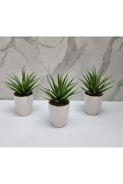 Çiçekmisin Porselen Saksıda Yeşil Yapay Kaktüs Aloevera 3'lü Set