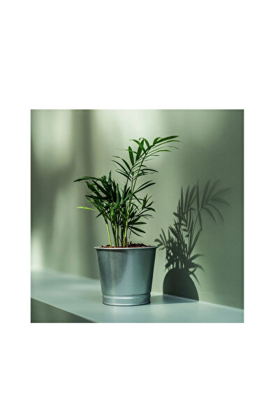 IKEA BINTJE çelik saksı , galvanizli, 9 cm