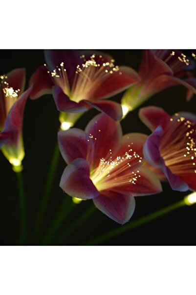 Choice 1PC 6Heads Deep pink Solar Powered Lily Flower Stake Lights, Fiber Opt...