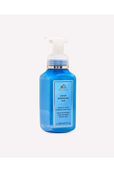 Bath and Body Works Crisp Morning Air Gentle & Clean Foaming Hand Soap