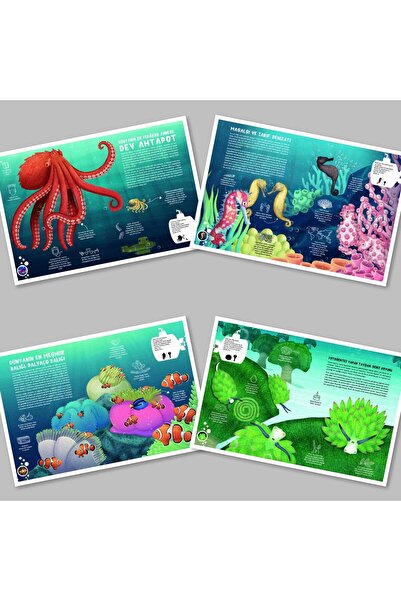 Aba Kitap Su Altı Atlası - Doç. Dr. Cem Dalyan & Okyanus Gezintisi Dev Boyama Posteri