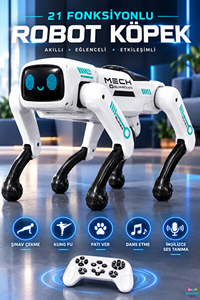 Brother Toys 21 Fonksiyon Uzaktan Kumandalı Akıllı Robot Köpek