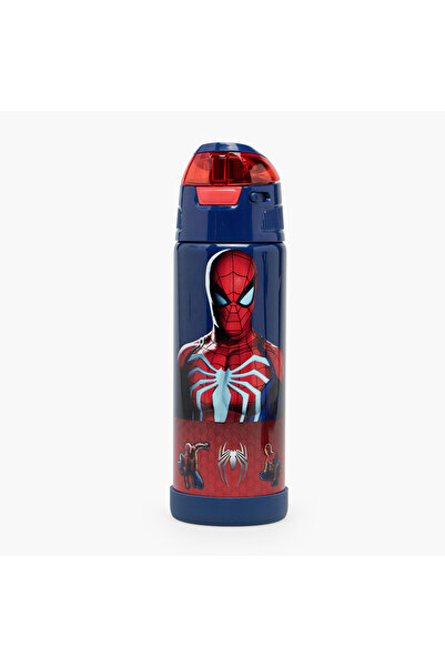 SPIDERMAN Spider-Man Stainless Steel Water Bottle with Spout