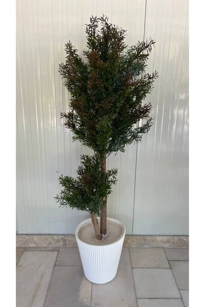ERHAN FLOWERS Yapay Biberiye Ağacı - 2 Gövdeli Beyaz Luna Saksı 170 cm