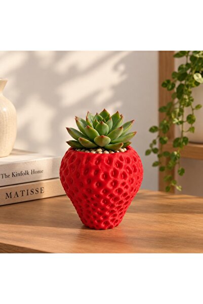 Sufle home dekor ÇİLEK ŞEKİLLİ DEKORATİF MİNİ SAKSI 10 cm - KAKTÜS SUKULENT S...