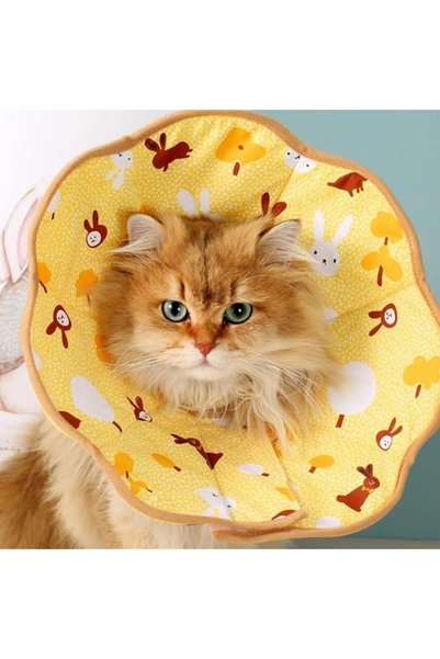 TERRIFI Soft Adjustable Cat Cone Collar, Easy to Clean Recovery E-Collar for Cats, Comfortable Flexible Prot