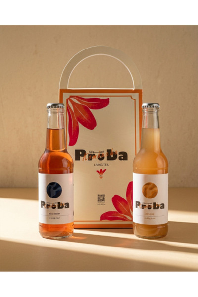 Proba Experience Box Two Kombucha Bottles of Your Choice (250 ml per bottle) ...