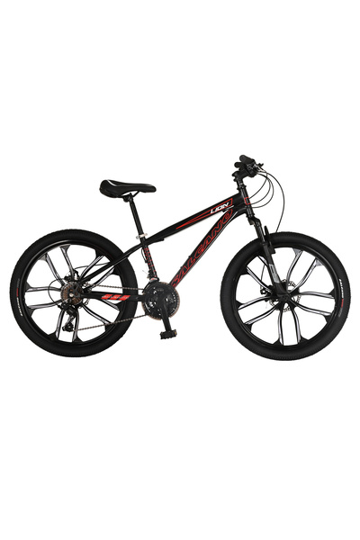 Salcano Lion 24 MD13 Mono Disk Fren Bisiklet (135 ile 155cm arası boy)