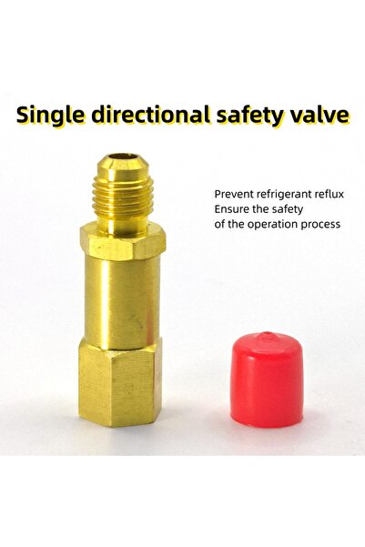 Choice E One-way safe valve Auto A/C Oil/Dye Injector 1Oz with 134a Low Side ...