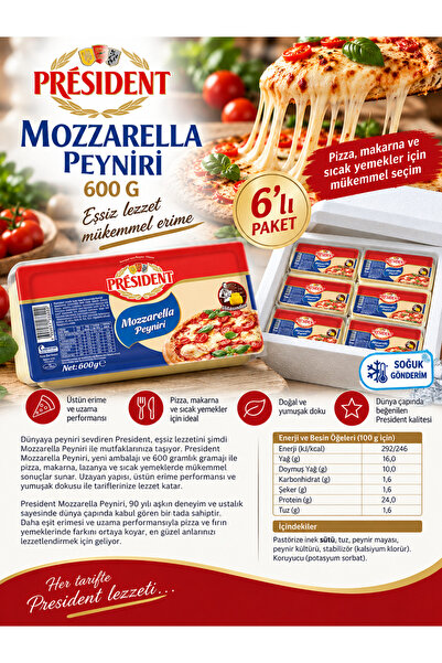 President BLOK MOZZARELLA 600 GRx6 adet