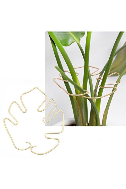 Generic Brand Suport pentru plante, inel pentru plante cățărătoare, 16×18 cm,...