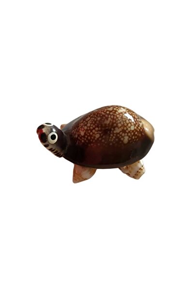 OEM Miniatura decorativa broscuta testoasa din scoici naturale