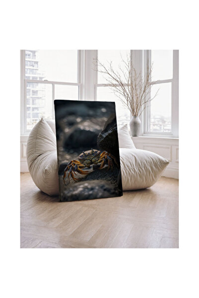 Generic Brand Tablou canvas 70x100 cm Dormitor, Living, Bucatarie, Crab pe St...