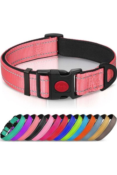Q TRIPLE A Reflective Dog Collar with Soft Neoprene Padding, Metal D-Ring and...