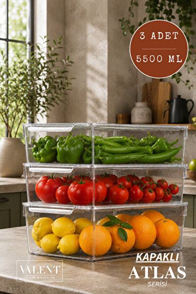 VALENT Atlas 3'lü 5500ML Kapaklı Saklama Kabı Buzdolabı Düzenleyici Akrilik