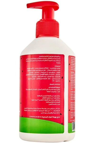 RAW AFRICAN Junior's 2-in-1 Shampoo and Conditioner, Watermelon Scent, Sulfate-Free Formula with Aloe Vera and Natural Oils for Kids' Hair