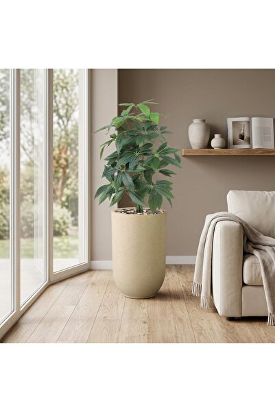 LastHome Mango Leaf Seedling 24 Branch Basin Fibre Beige