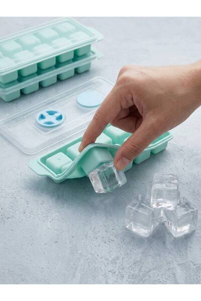 EkoStore 2 Pcs Non-Stick Silicone Bass Removable Icebox