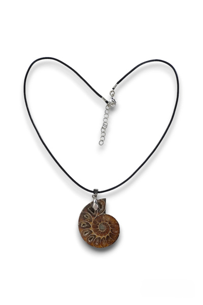 Pozitif Doğal Taş Ammonite Fossil Pendant 104-4
