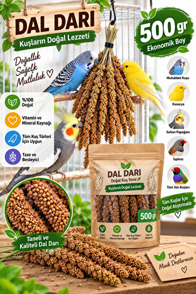 Genel Markalar Aslia Doğal Dal Darı 500 gr Kuş Yemi – Muhabbet Kuşu, Sultan P...