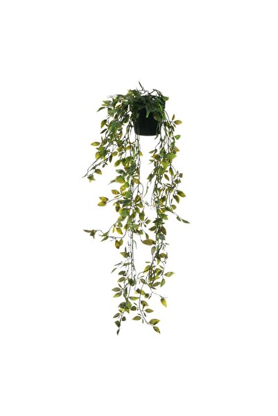 OEM Ghiveci Decorativ cu Planta Curgatoare 65cm